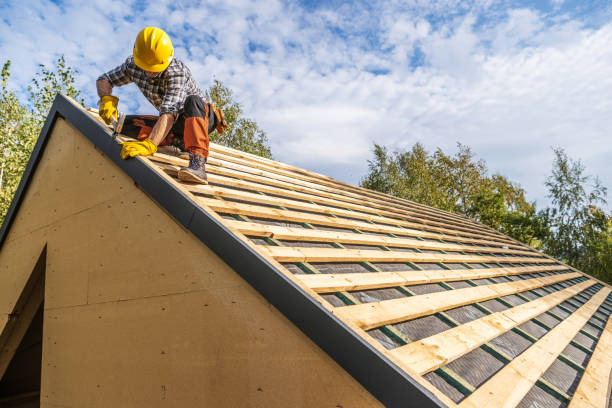 Best Roof Gutter Cleaning  in Abilene, TX